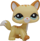 #2034 Destiny Cat